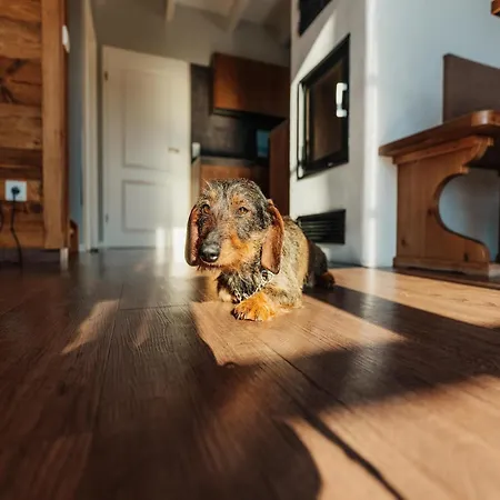 In For 8 Personen Schierke