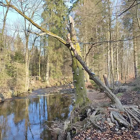 In For 8 Personen Dom wakacyjny