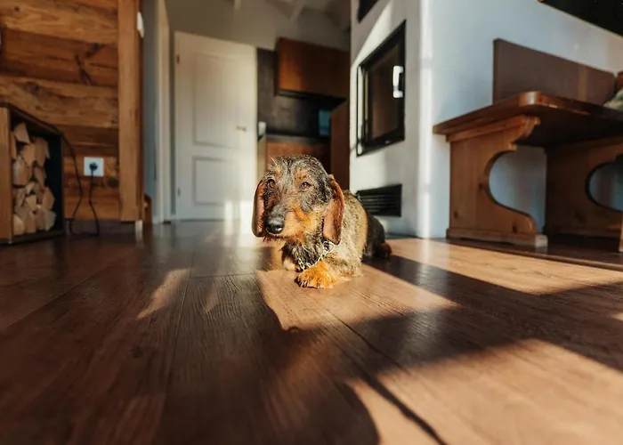 In For 8 Personen Schierke