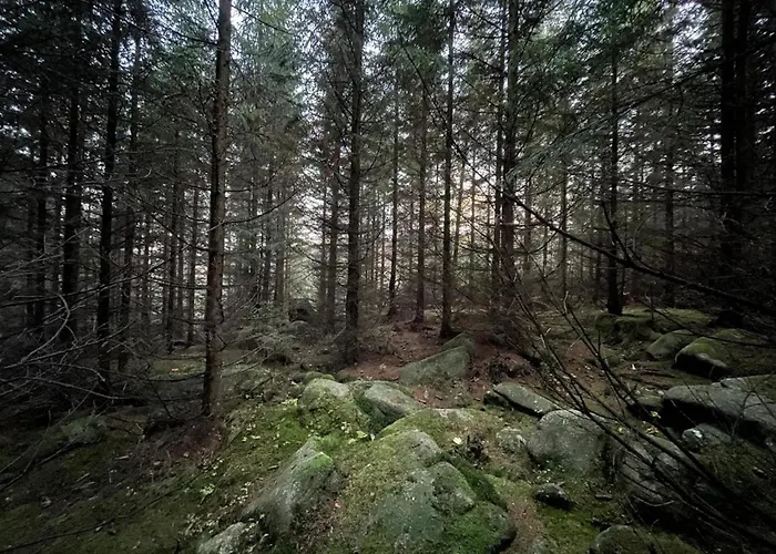 In For 8 Personen Semesterbostad *