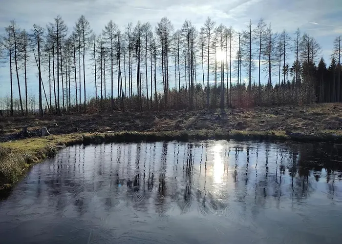 In For 8 Personen Semesterbostad Schierke