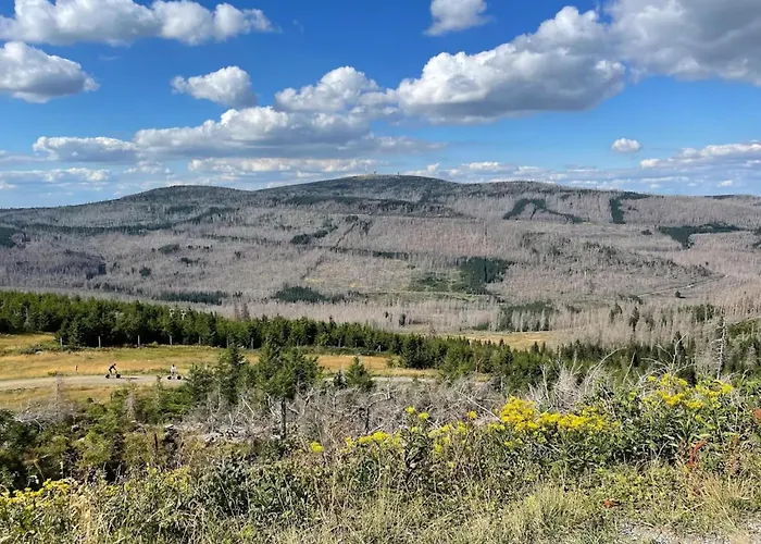 Semesterbostad In For 8 Personen Schierke