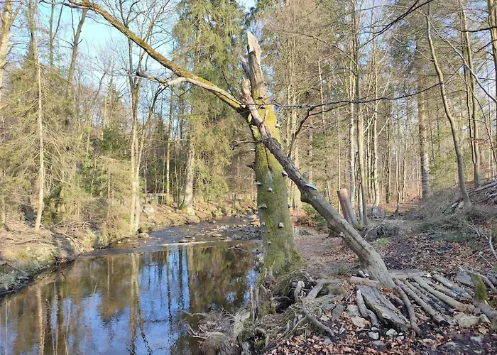 In For 8 Personen Semesterbostad