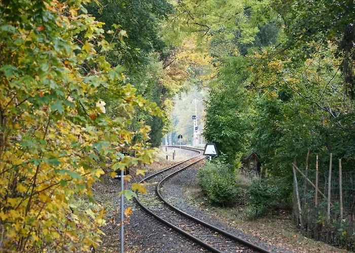 Semesterbostad In For 8 Personen Schierke